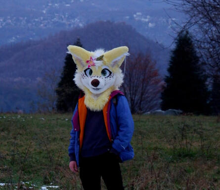 the fennec