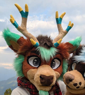 the deer